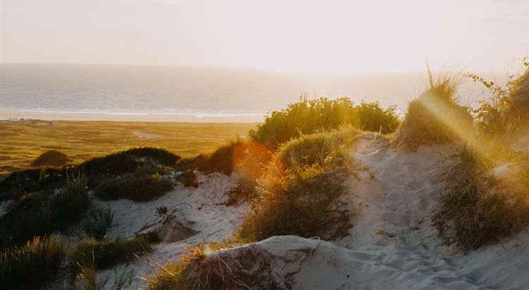 sand dunes, nature