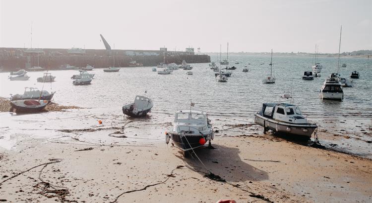 Fishing boats in the harbour